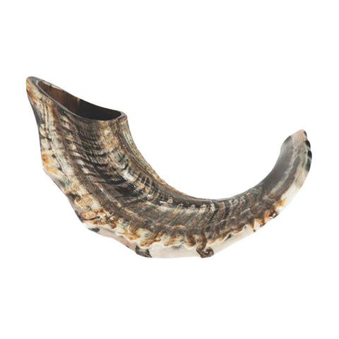 Natural Curve Ram's Horn Shofar 15"- 17"