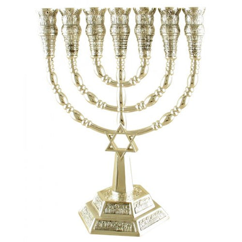 7 Branch Menorah with Star of David and Jerusalem Images