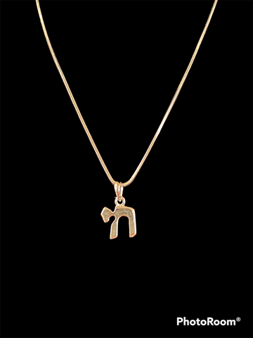 Small stainless steel Chai necklace