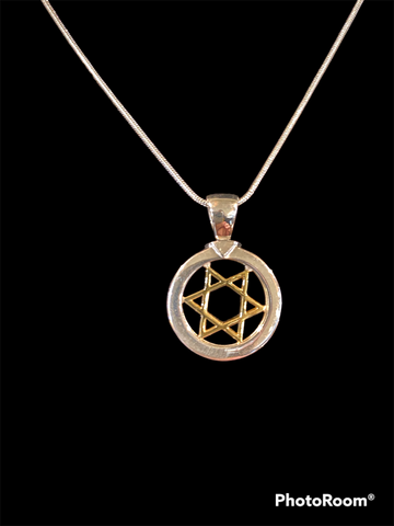 Gold Star Of David Pendant