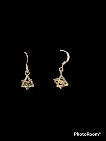 925 Sterling Silver 3D Star of David Earrings