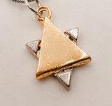 Silver and Gold Nekclace