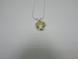 Gold Star Of David in a Silver Pendant