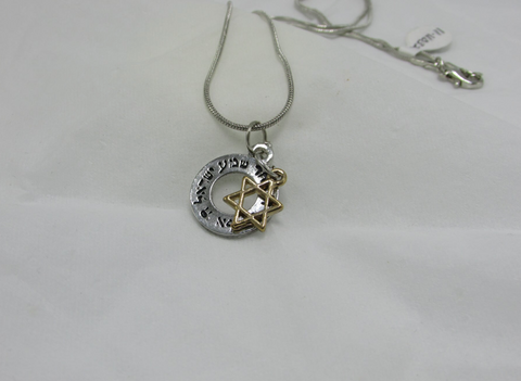 Silver She'ma Israel & a Gold Star Of David Pendant